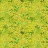 Y5166-126 Citron FLANNEL