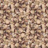 Y5188-65 Caramel