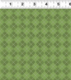 Y5198-24 Olive
