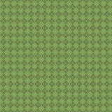 Y5198-24 Olive