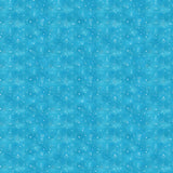 Y5238-99 Dark Sky
