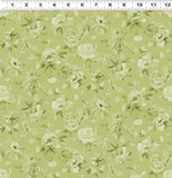 Y5269-24 Olive