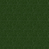 Y5289-113 Forest