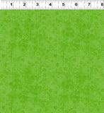 Y3810-19D